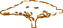 arbre