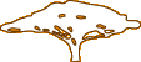 arbre